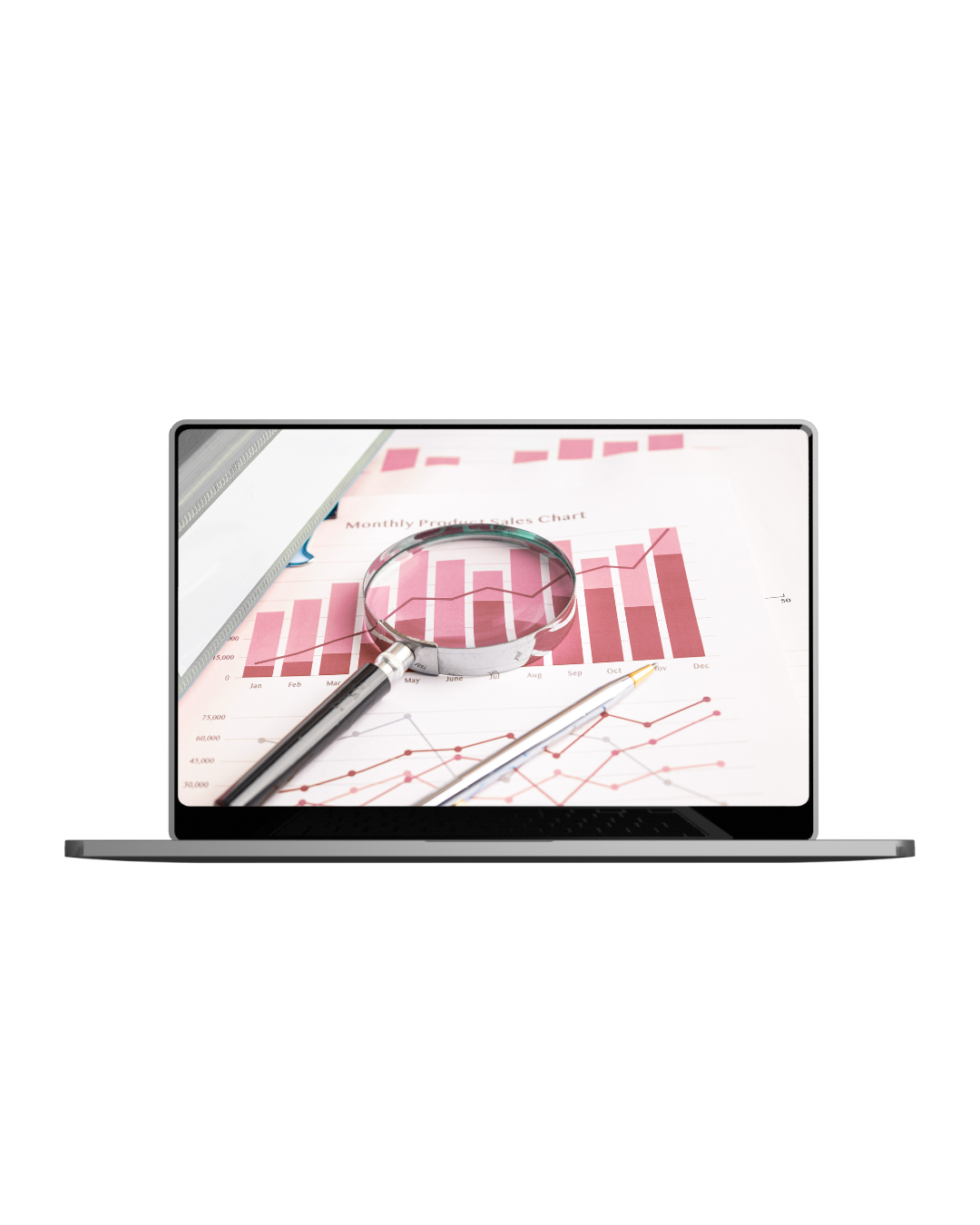 Månadsrapport Cyntora